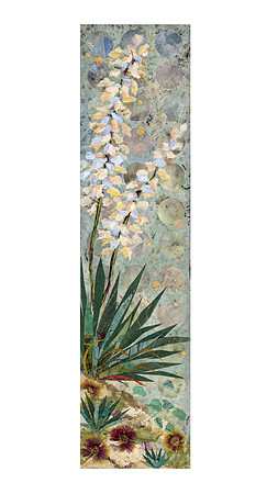 Yucca