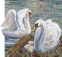 Airlie Swans